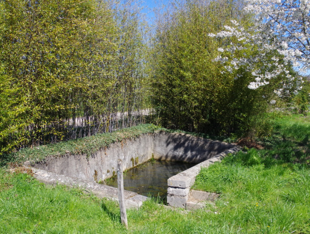 producteur de fruits, sirops et confitures bio près de Blois (41) dans le Loir-et-Cher
