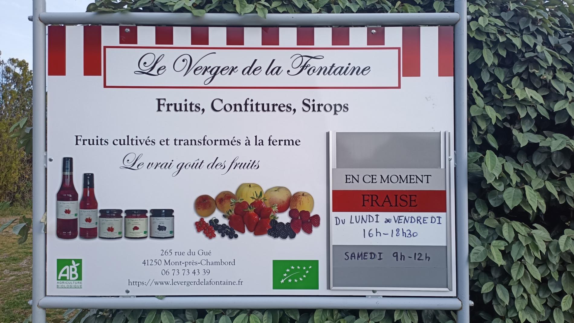 Vente de fraises à la ferme