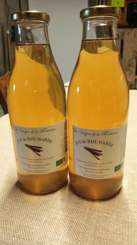 Jus de rhubarbe